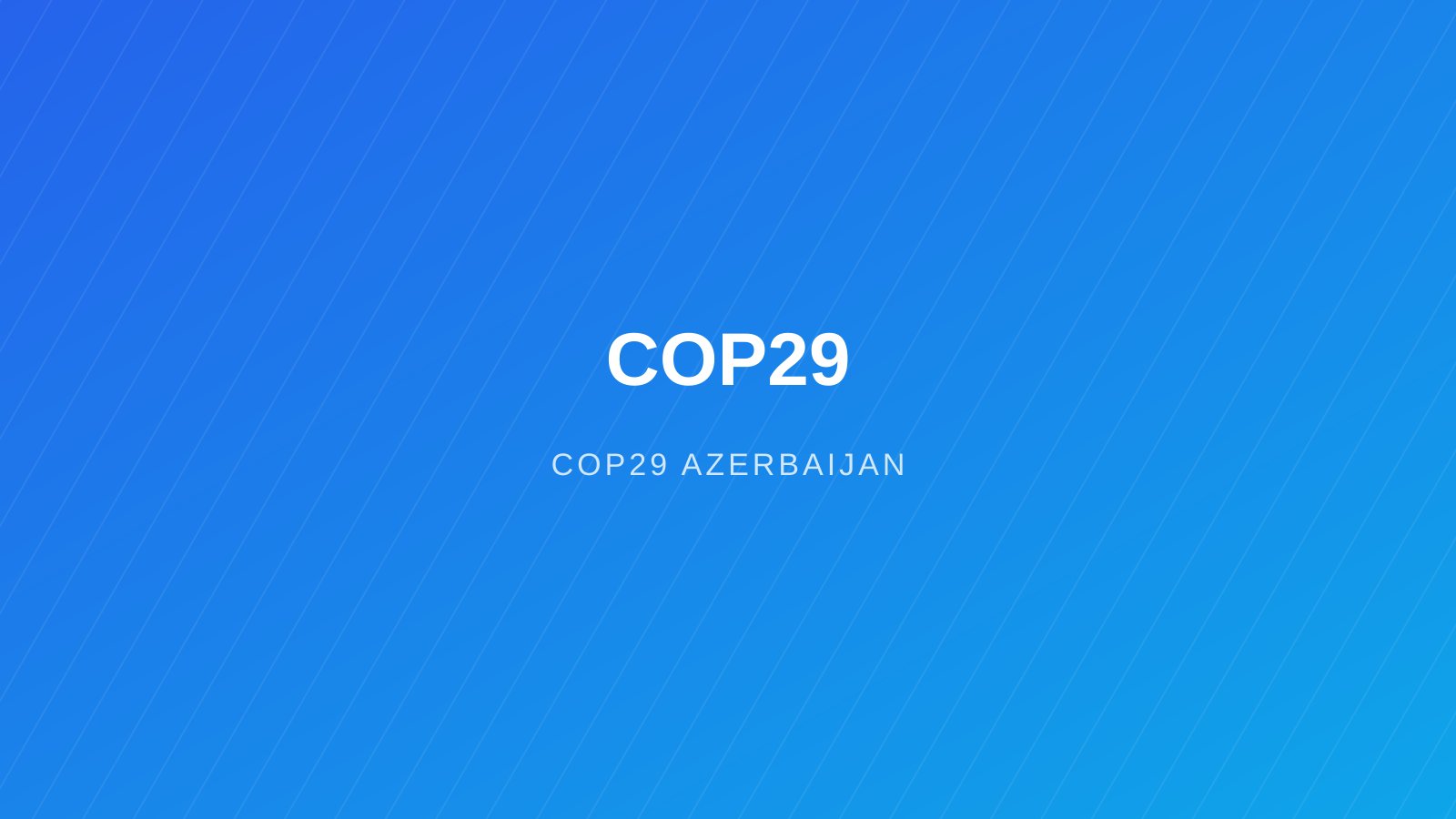 COP29
